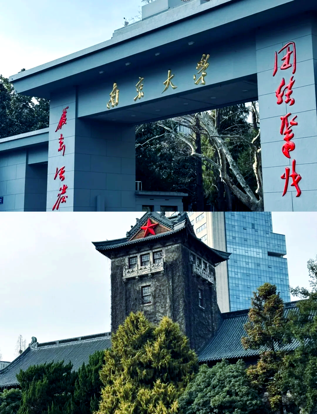南京大学(南京大学有哪些)