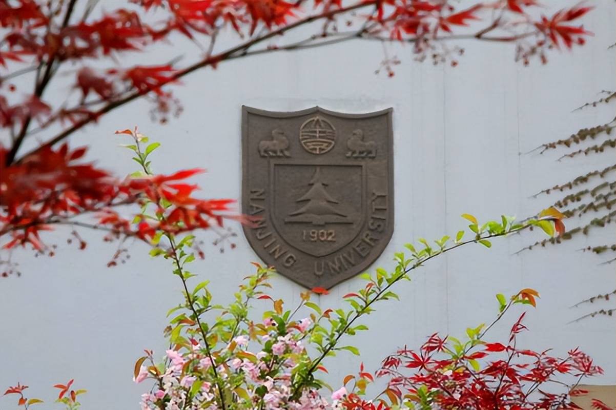 南京大学文凭(南京大学本科生毕业要求)