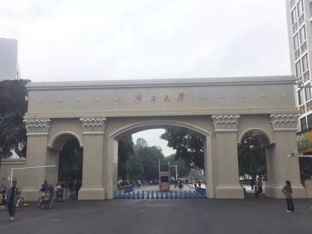 广西大学(广西大学学生团队走进比亚迪)