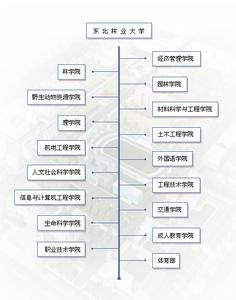 东北林业大学毕业证(东北林业大学毕业证发放时间)