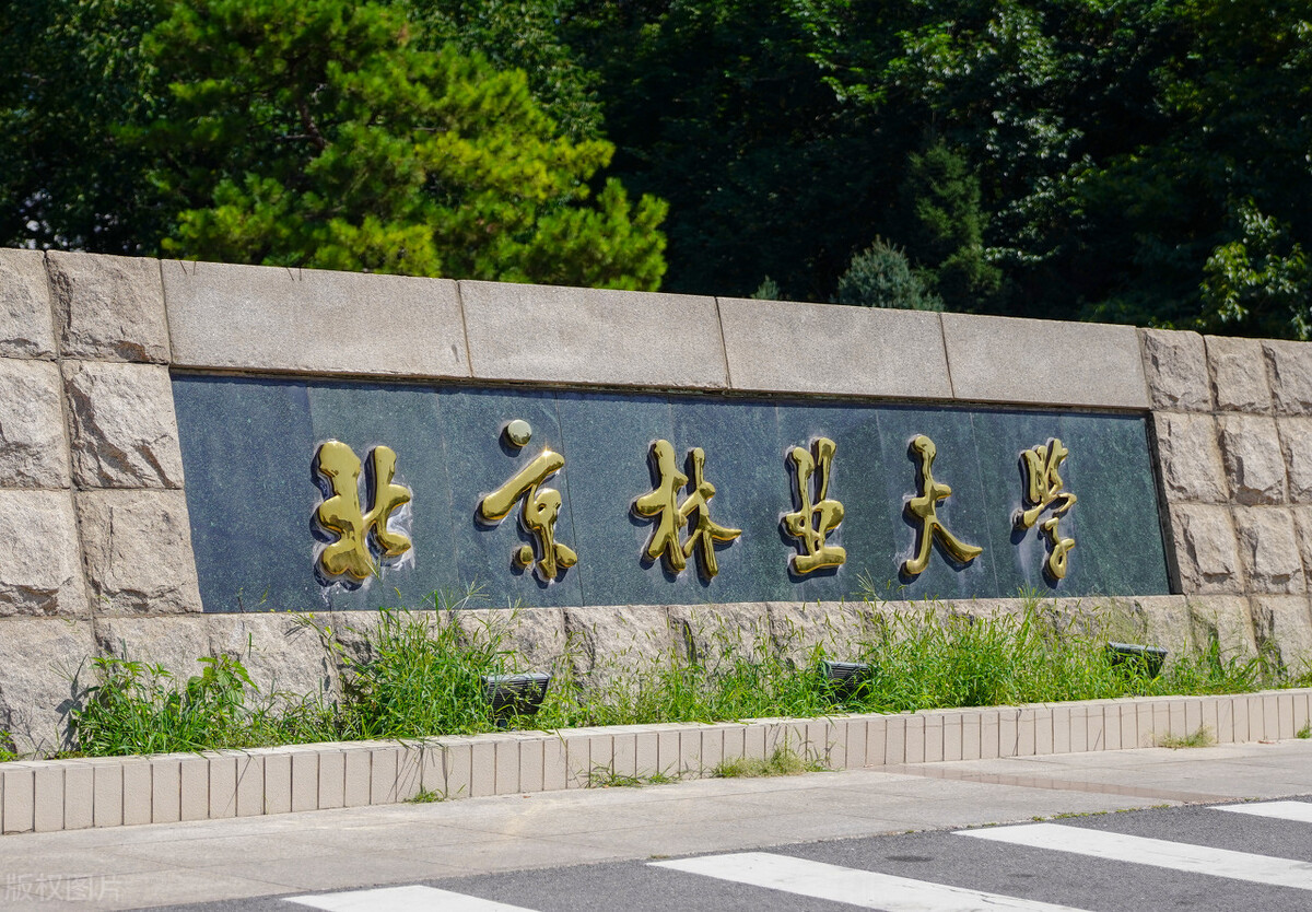北京林业大学(北京林业大学是985还是211)