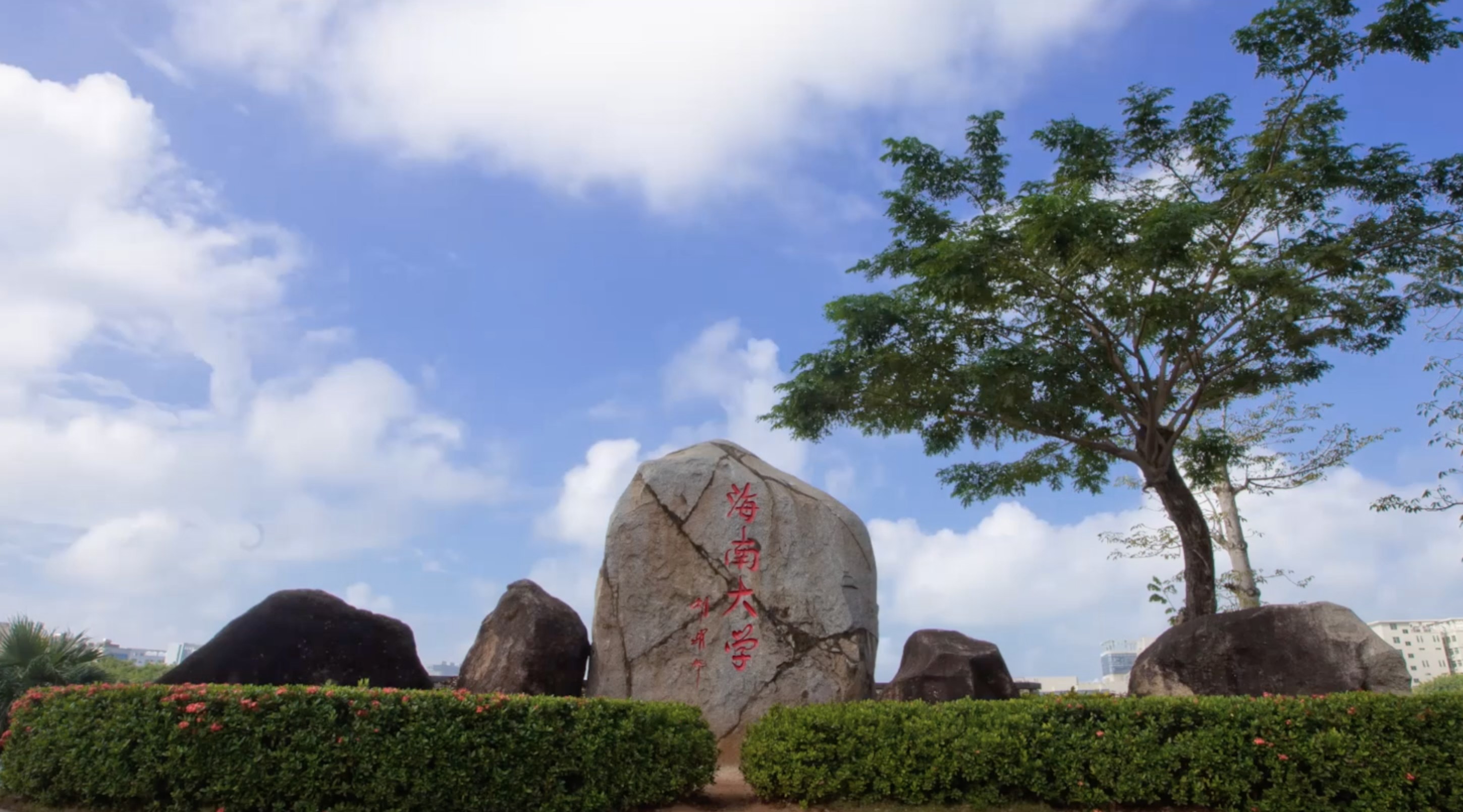海南大学(海南大学教务系统一体化)