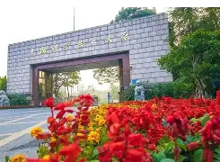 中国科学技术大学文凭(中国科学技术大学有本科吗)
