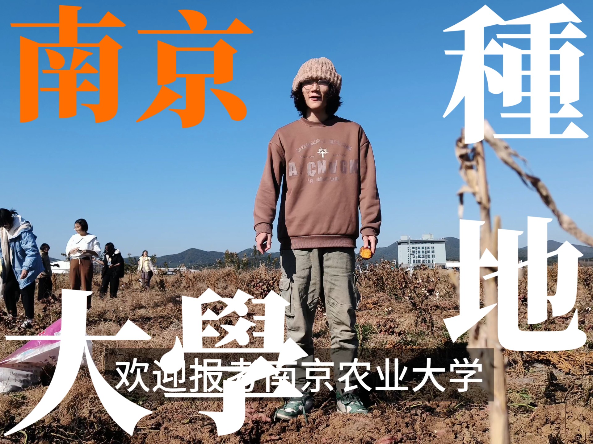 南京农业大学(南京农业大学网上办事大厅)