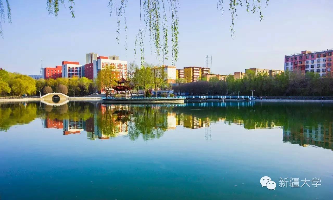 新疆大学(新疆大学是985大学还是211大学?)