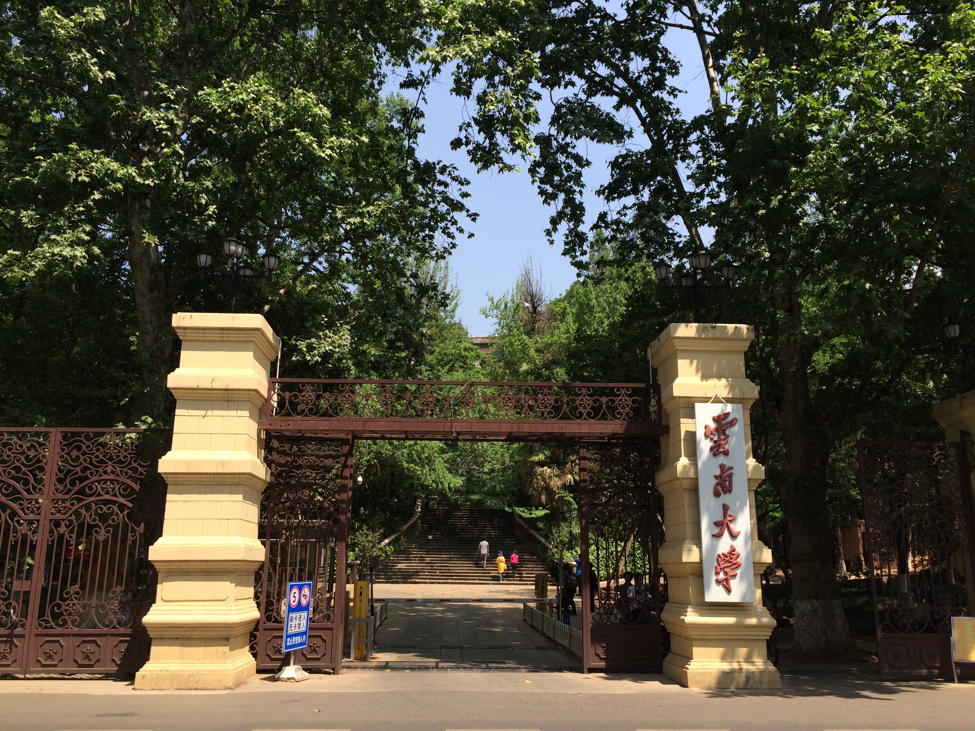 云南大学(云南大学网上办事服务大厅)