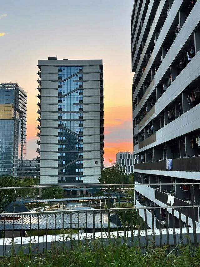 中国科学技术大学(中国科学技术大学夏令营)